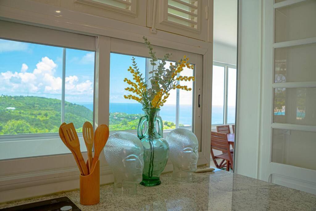 Villa Domaine des Tourterelles à Capesterre Extérieur photo